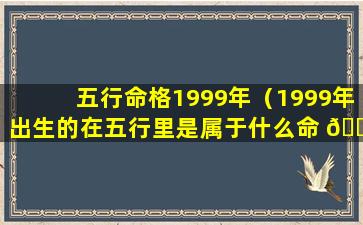 五行命格1999年（1999年出生的在五行里是属于什么命 🐳 ）